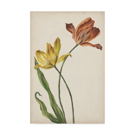 Trademark Fine Art Melissa Wang 'Two Tulips I' Canvas Art, 12x19 WAG08586-C1219GG